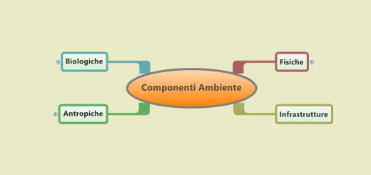 componenti ambiente