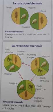 disegno rotazione triennale