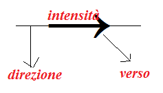 i vettori e le forze